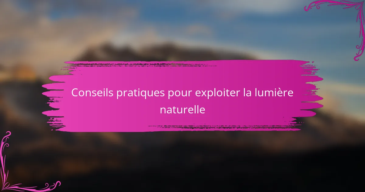 Conseils pratiques pour exploiter la lumière naturelle
