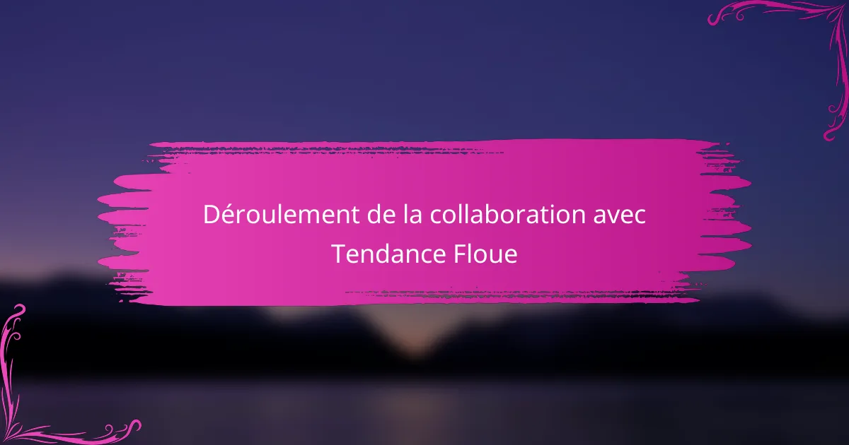 Déroulement de la collaboration avec Tendance Floue