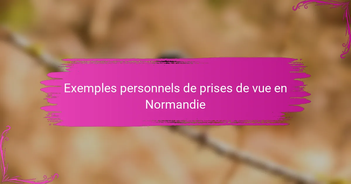 Exemples personnels de prises de vue en Normandie