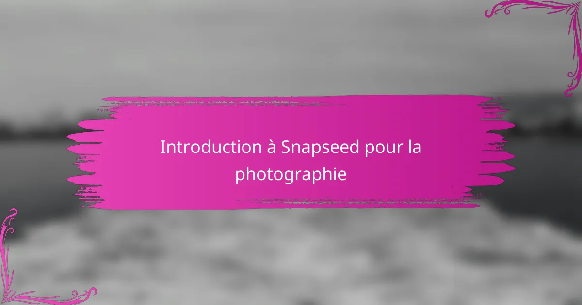 Introduction à Snapseed pour la photographie