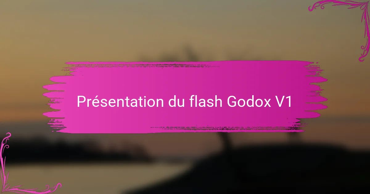 Présentation du flash Godox V1