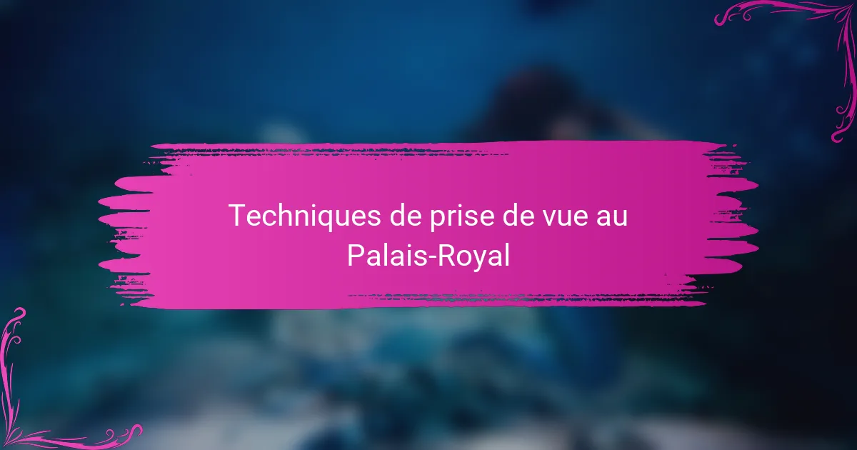 Techniques de prise de vue au Palais-Royal