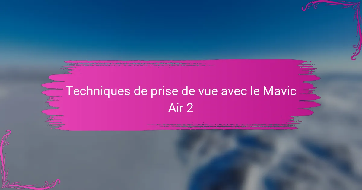 Techniques de prise de vue avec le Mavic Air 2
