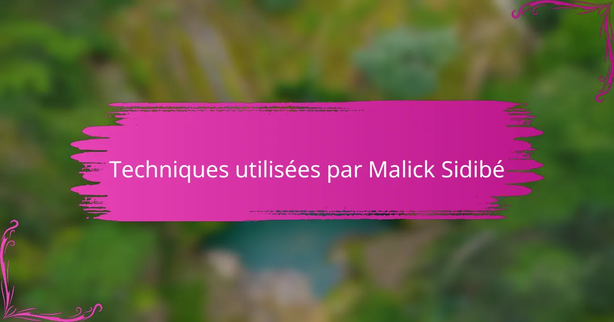 Techniques utilisées par Malick Sidibé